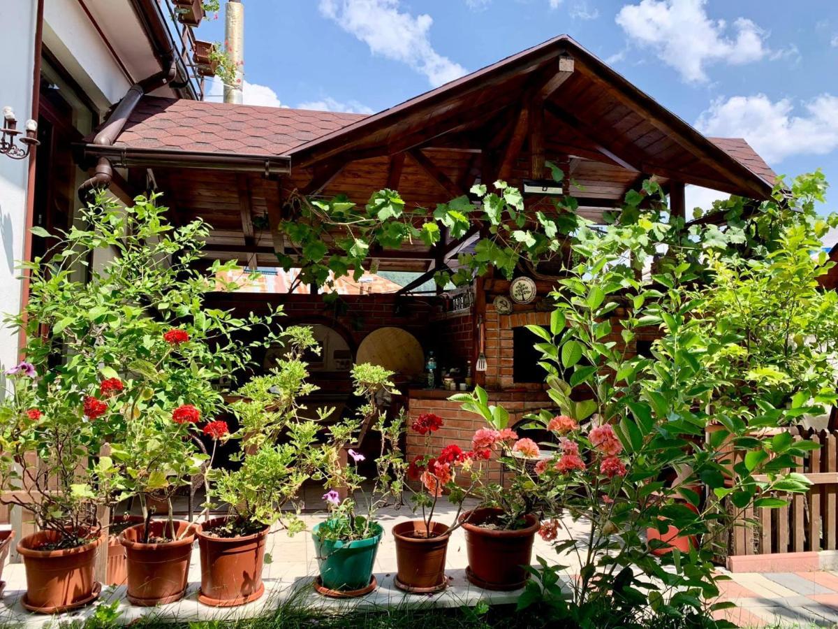 Casa Olanesti Hotel Băile Olăneşti Екстериор снимка
