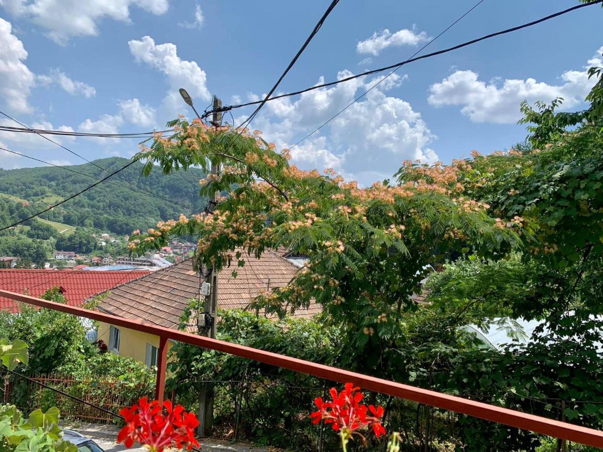 Casa Olanesti Hotel Băile Olăneşti Екстериор снимка